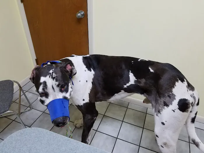 Courtenay Animal Hospital 2