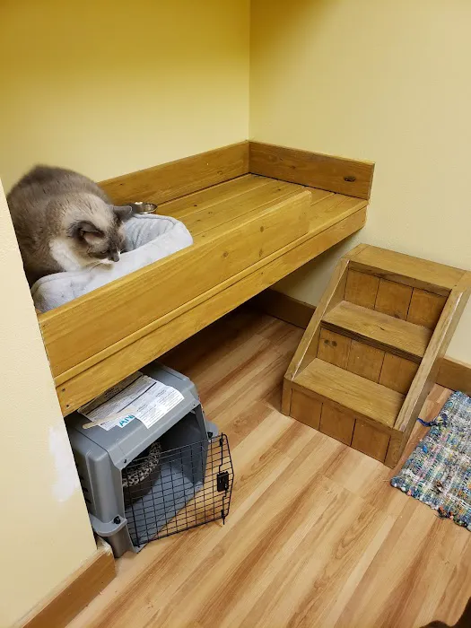 Animal Wellness World 6