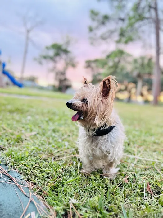 Animal Wellness World 5