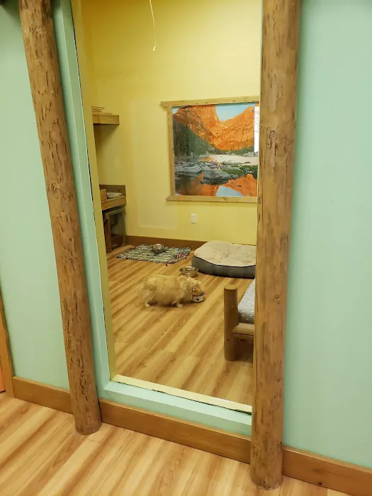 Animal Wellness World 3