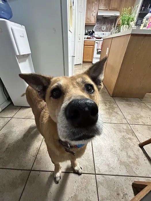 Cocoa Veterinary Hospital 4