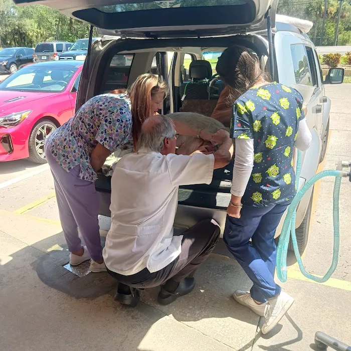 Companion Animal Hospital 10