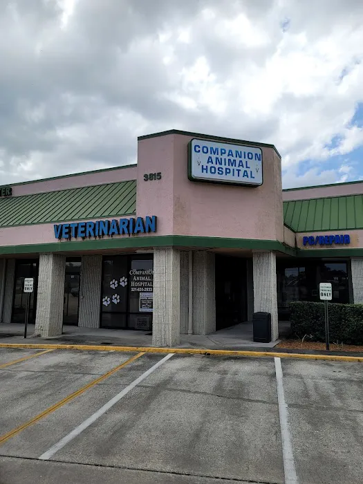 Companion Animal Hospital 7