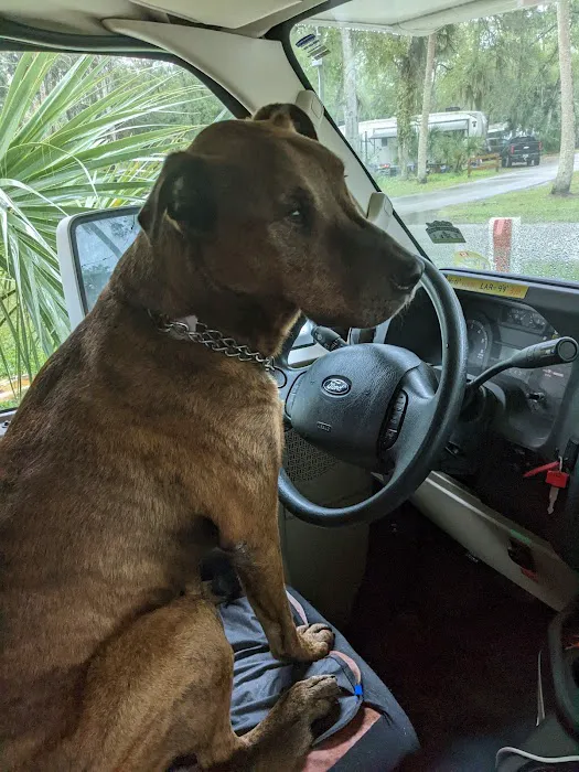 Companion Animal Hospital 3