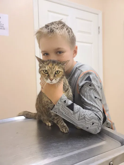 Companion Animal Hospital 1