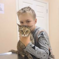 Companion Animal Hospital ico