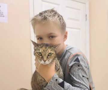 Companion Animal Hospital