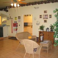 Space Coast Veterinary Hospital ico
