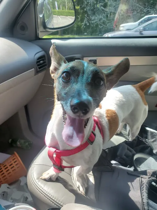 Space Coast Veterinary Hospital 3