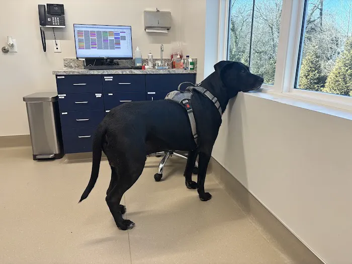 Westchester Veterinary Hospital 4