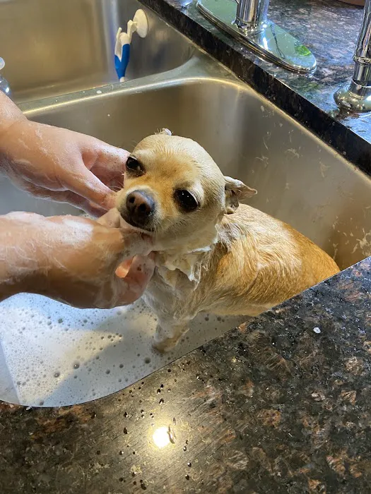 Westchester Veterinary Hospital 7