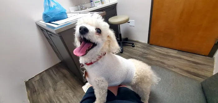 Center Veterinary Hospital 2
