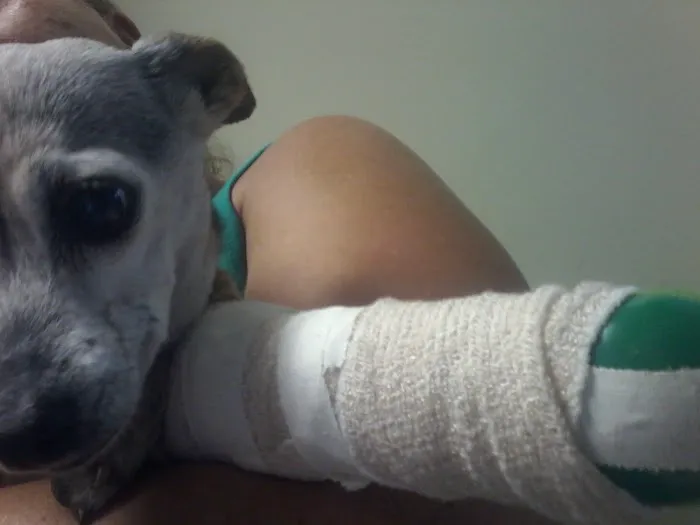 Center Veterinary Hospital 1