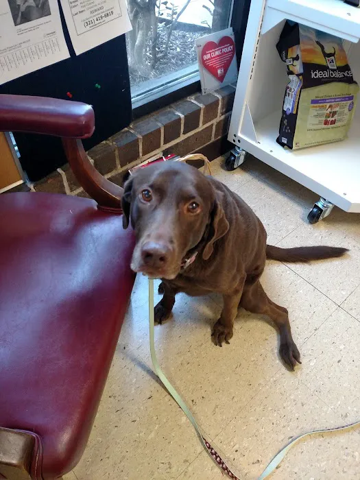 Center Veterinary Hospital 10