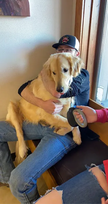 Archdale Animal Clinic 3