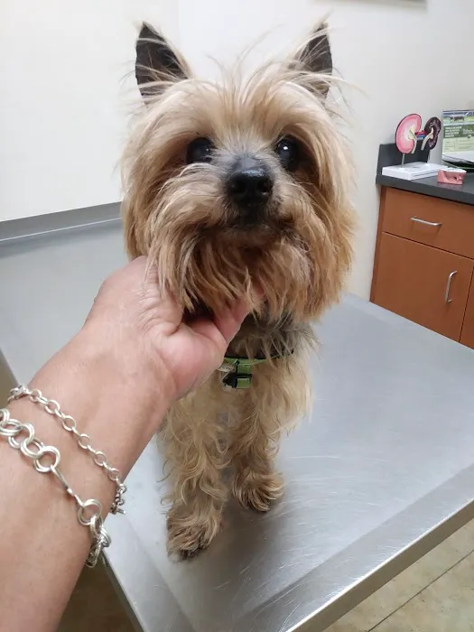 Archdale Animal Clinic 5