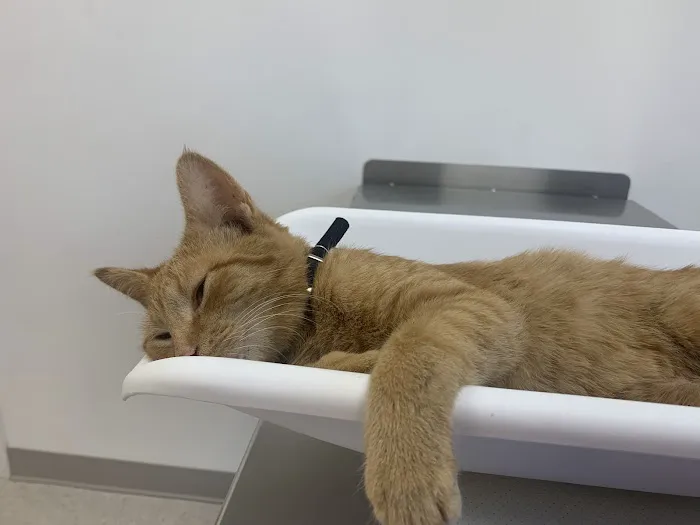 Creekside Veterinary Hospital 5
