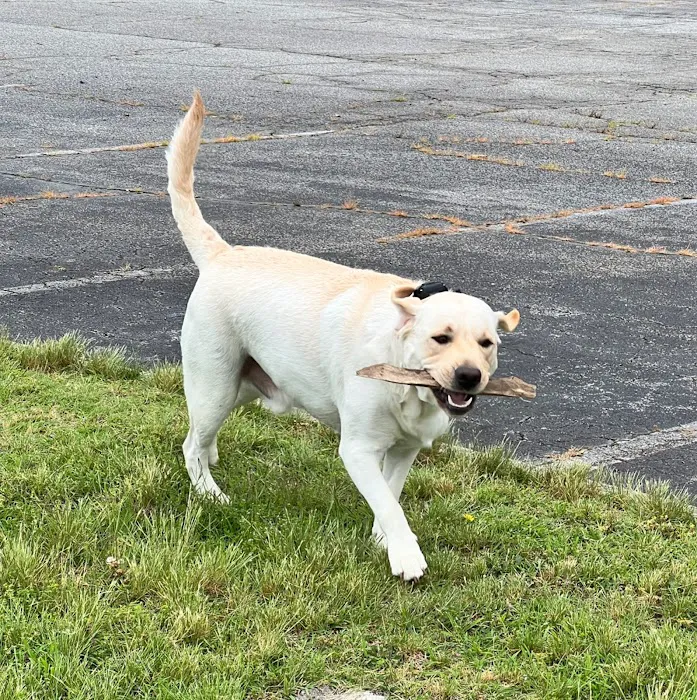 Creekside Veterinary Hospital 7