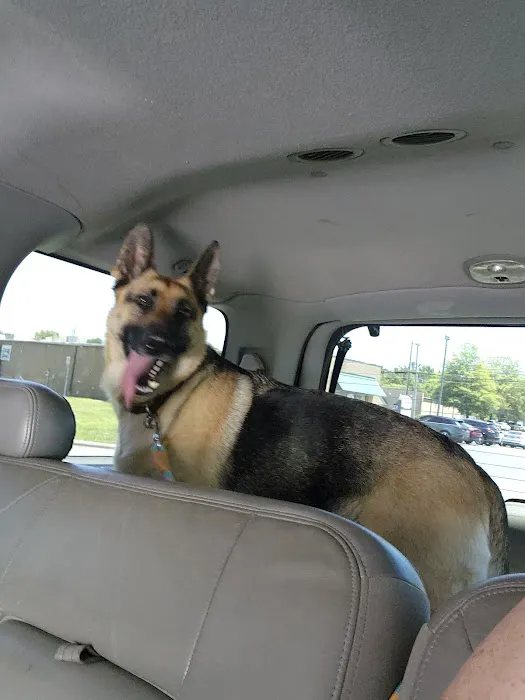 High Point Veterinary Hospital 1