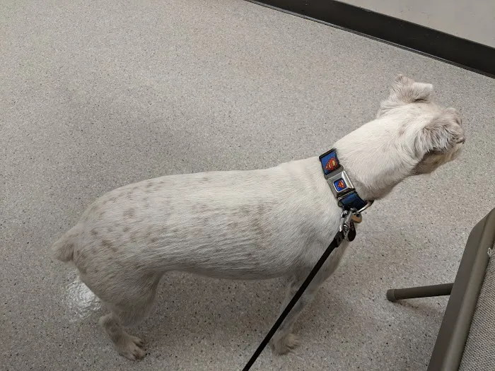 High Point Veterinary Hospital 10