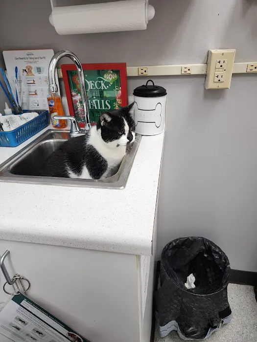 High Point Veterinary Hospital 2