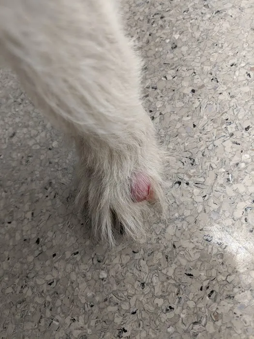 High Point Veterinary Hospital 7
