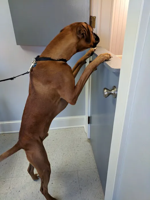 Midway Animal Clinic 5