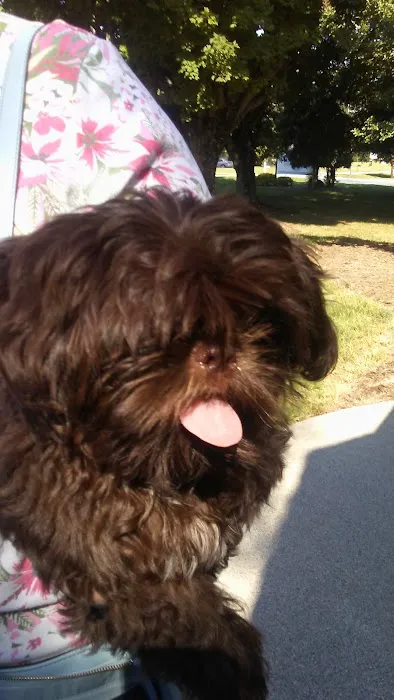 Midway Animal Clinic 8