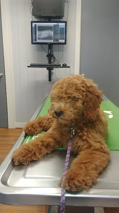 Midway Animal Clinic 1