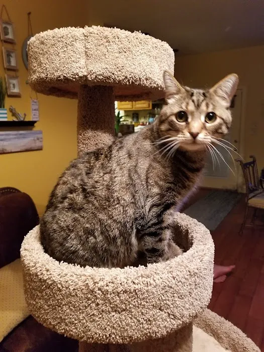 Arcadia Veterinary Hospital 8