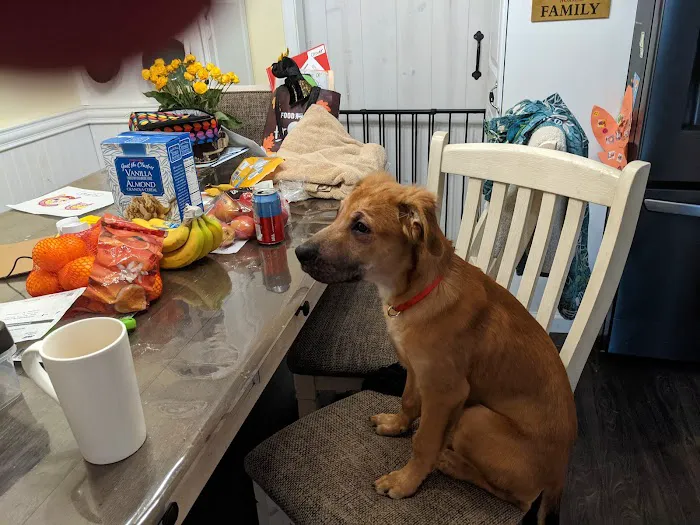 Arcadia Veterinary Hospital 5
