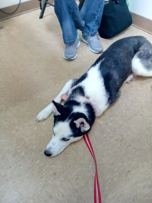 Arcadia Veterinary Hospital 9