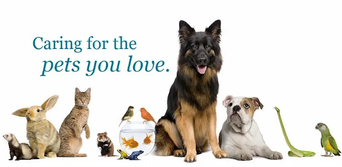 Arcadia Veterinary Hospital 3