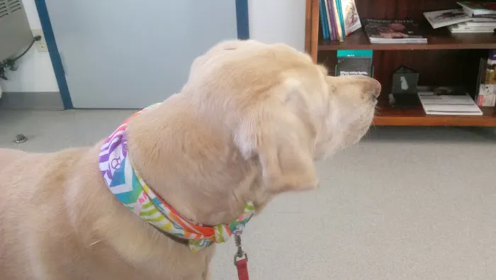 Emerywood Veterinary Hospital PA 3