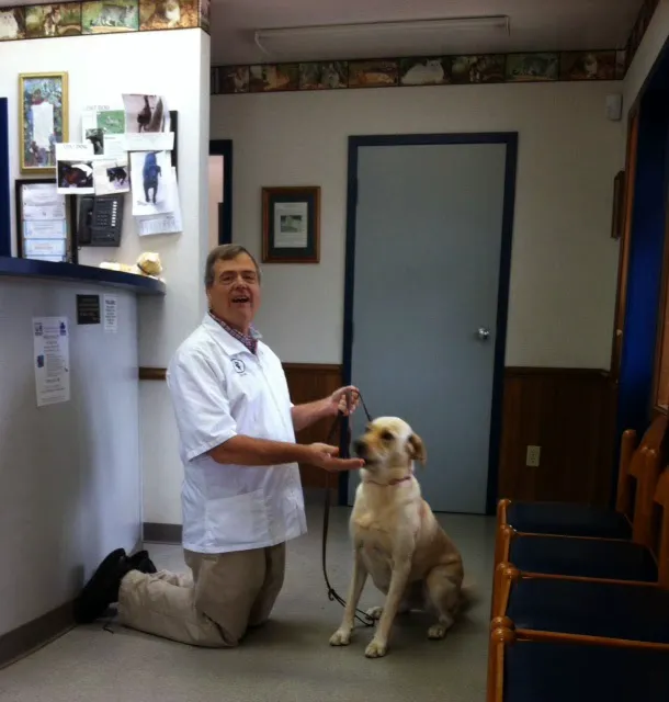 Emerywood Veterinary Hospital PA 4