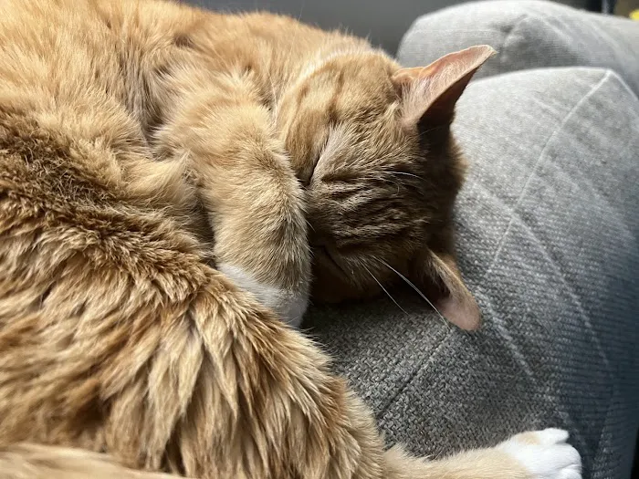 Banfield Pet Hospital 7