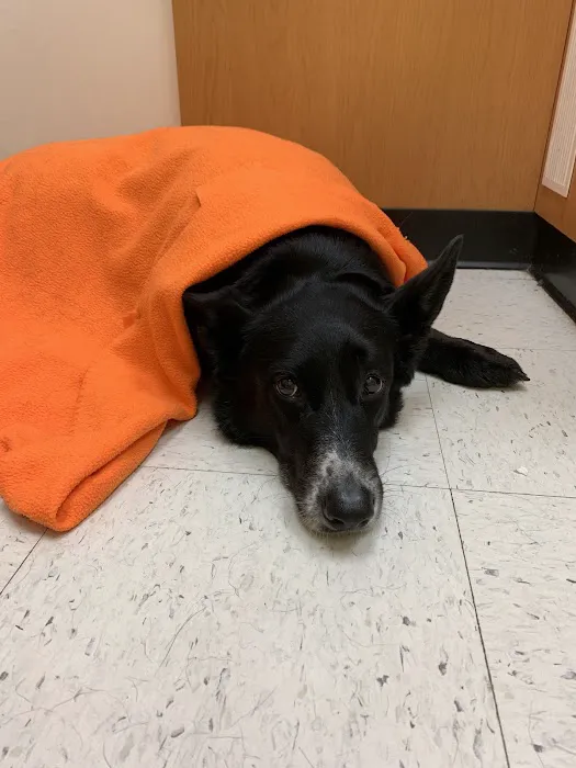 Banfield Pet Hospital 5