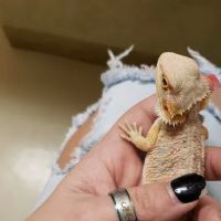 Total Care Veterinary Hospital ico