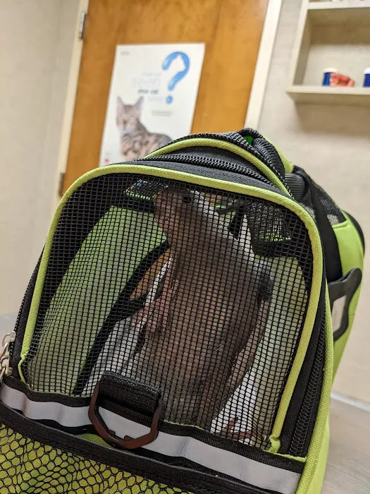 Total Care Veterinary Hospital 3