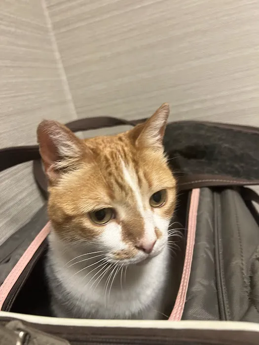 Total Care Veterinary Hospital 9