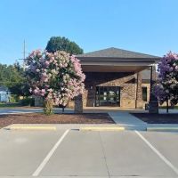 Wallburg Animal Hospital ico