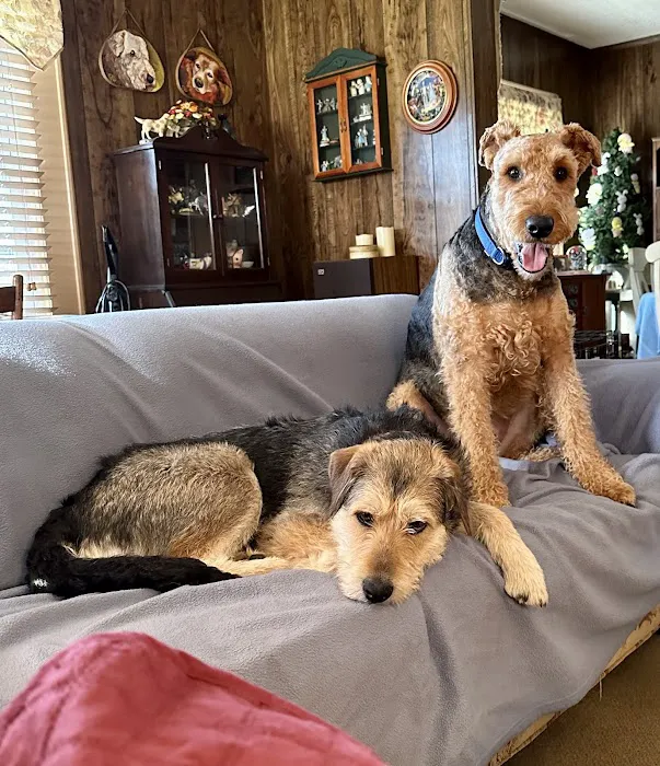 Wallburg Animal Hospital 5