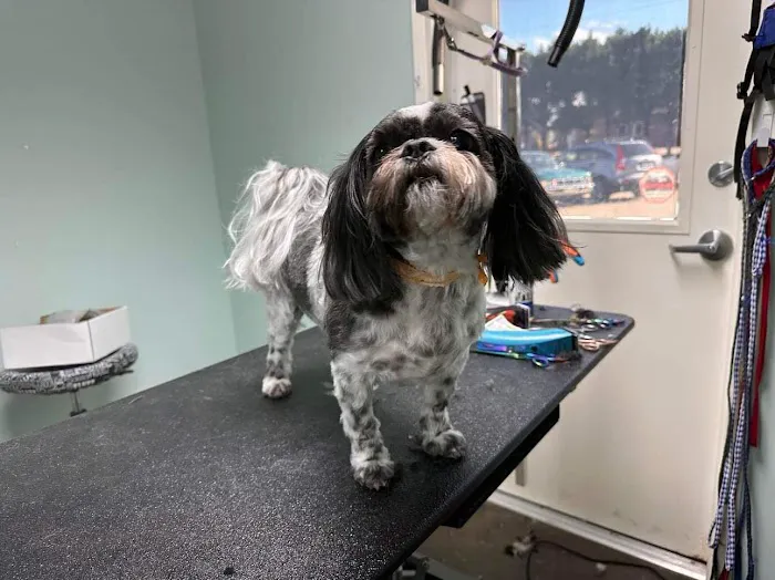 Wallburg Animal Hospital 7