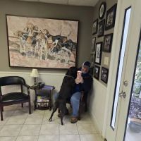 Southern Pines Equine Associates ico