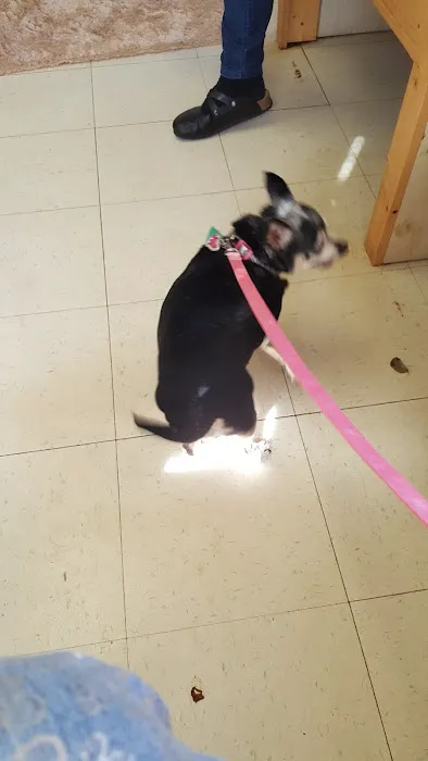 Tysor Veterinary Clinic 6