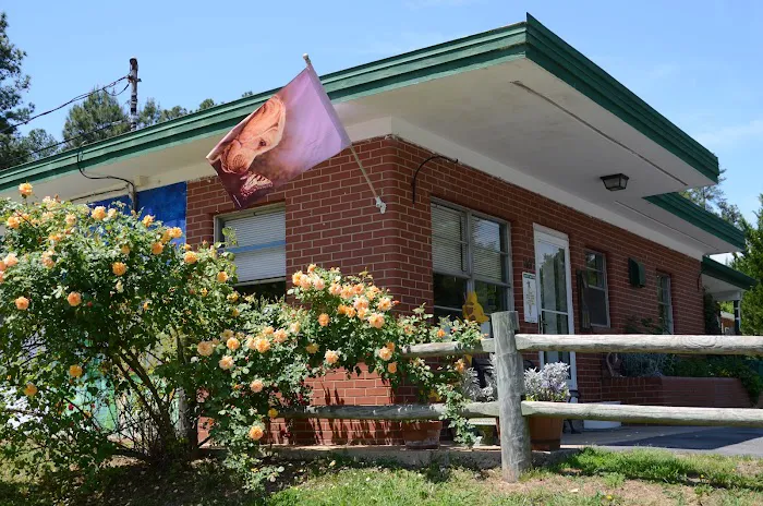 Tysor Veterinary Clinic 4