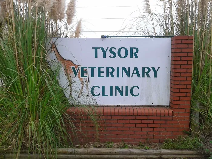 Tysor Veterinary Clinic 10