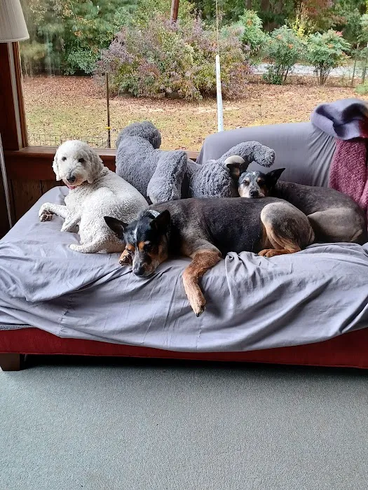 Third Street Veterinary Clinic 6