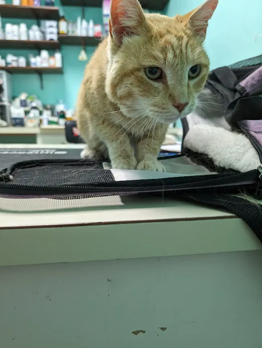Third Street Veterinary Clinic 4