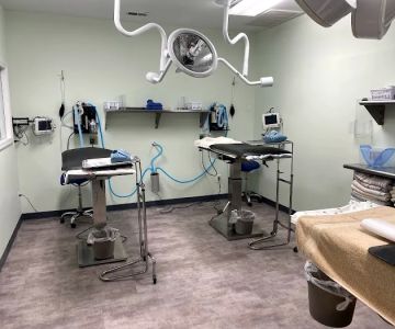 Sandhills Spay Neuter Veterinary Clinic